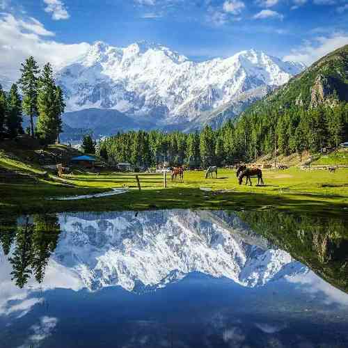 بهروز سلیمانی هلال ماه